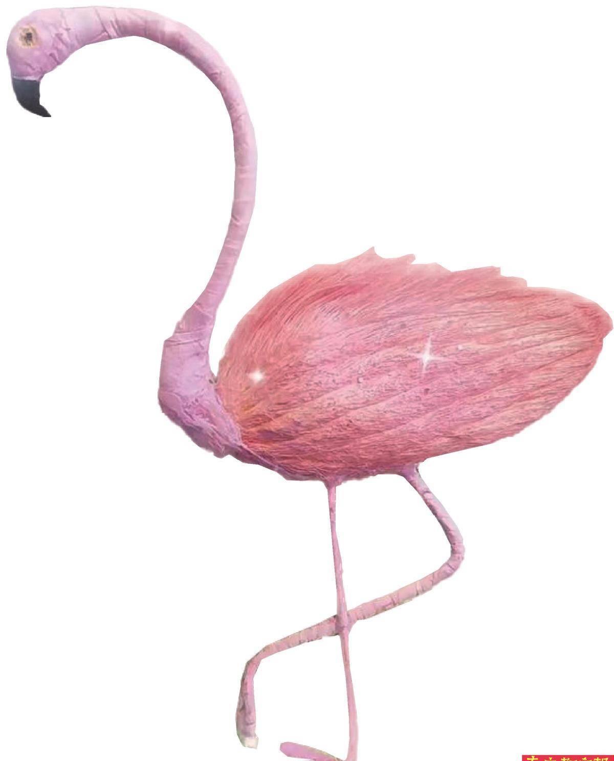 养芒果核不用吹风机行不行,养芒果核当宠物要晒多久