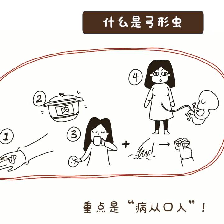 什么是弓形虫病怎么预防,弓形虫是怎么感染猫咪的