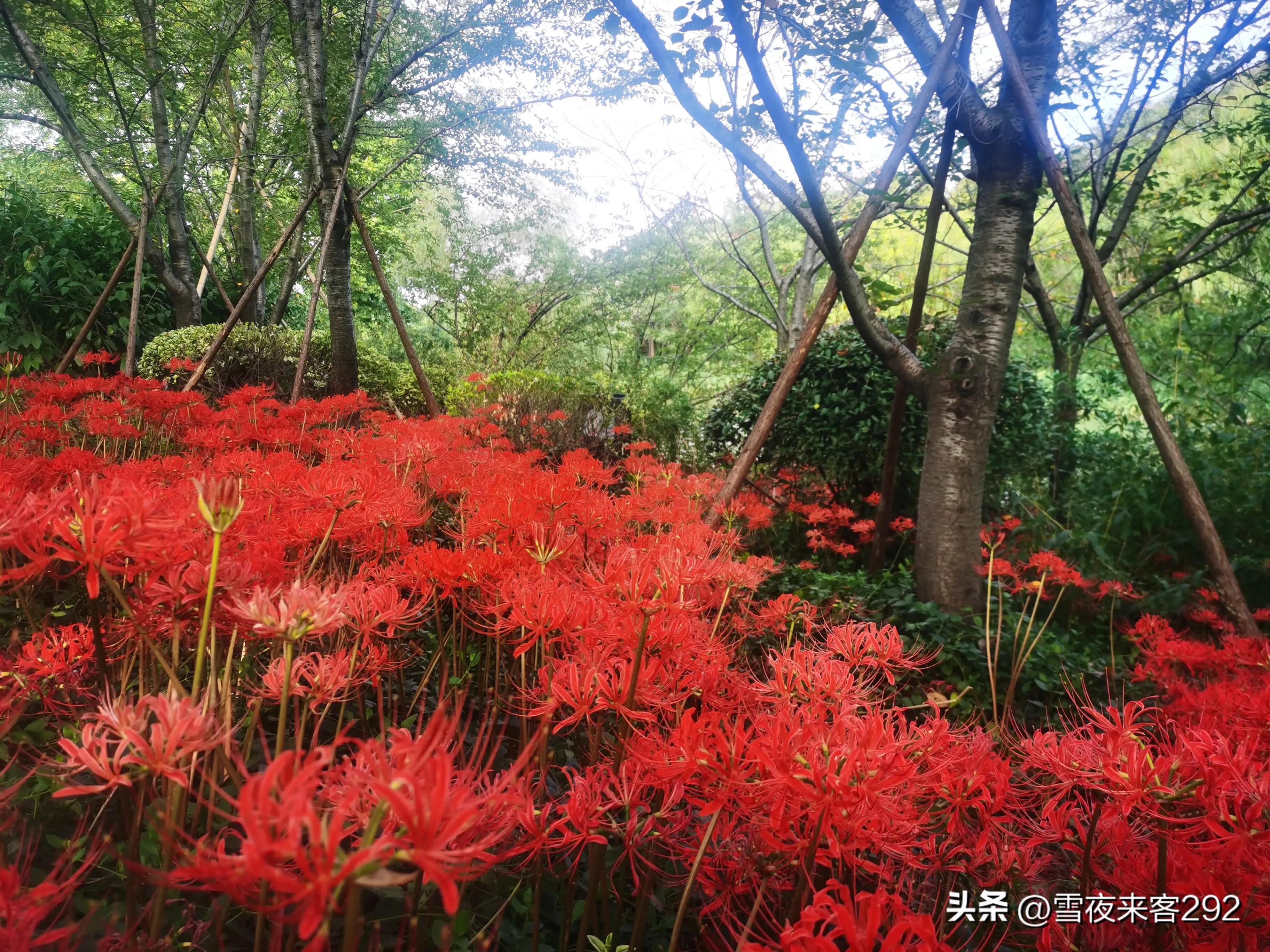 中国人名字与诗词,刻在骨子里的家国情怀文字