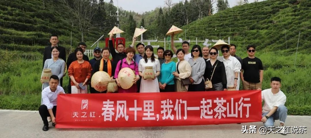 祁红最好听的十首歌,非遗祁红