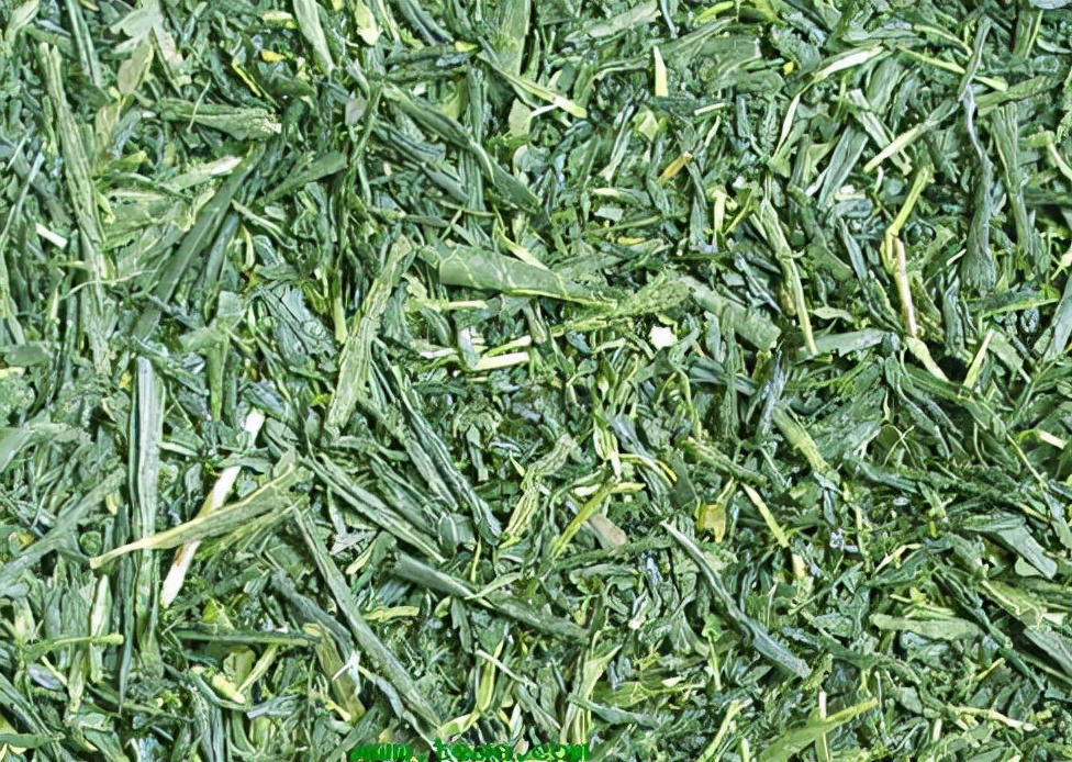 皖南皖北生活差异,皖南乡村生活