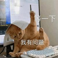 王心凌快40岁了看起来却那么年轻,王心凌40岁为什么还那么好看