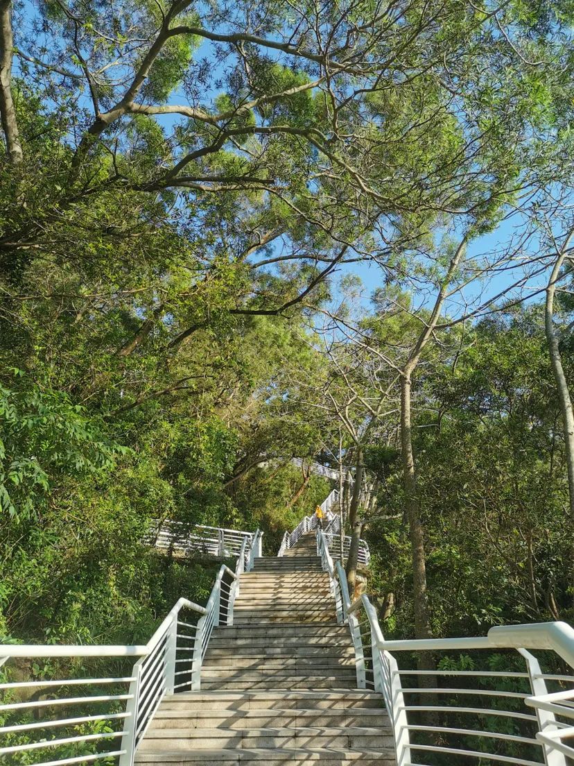 深圳最美海滩游玩攻略图,最值得去的深圳海滩