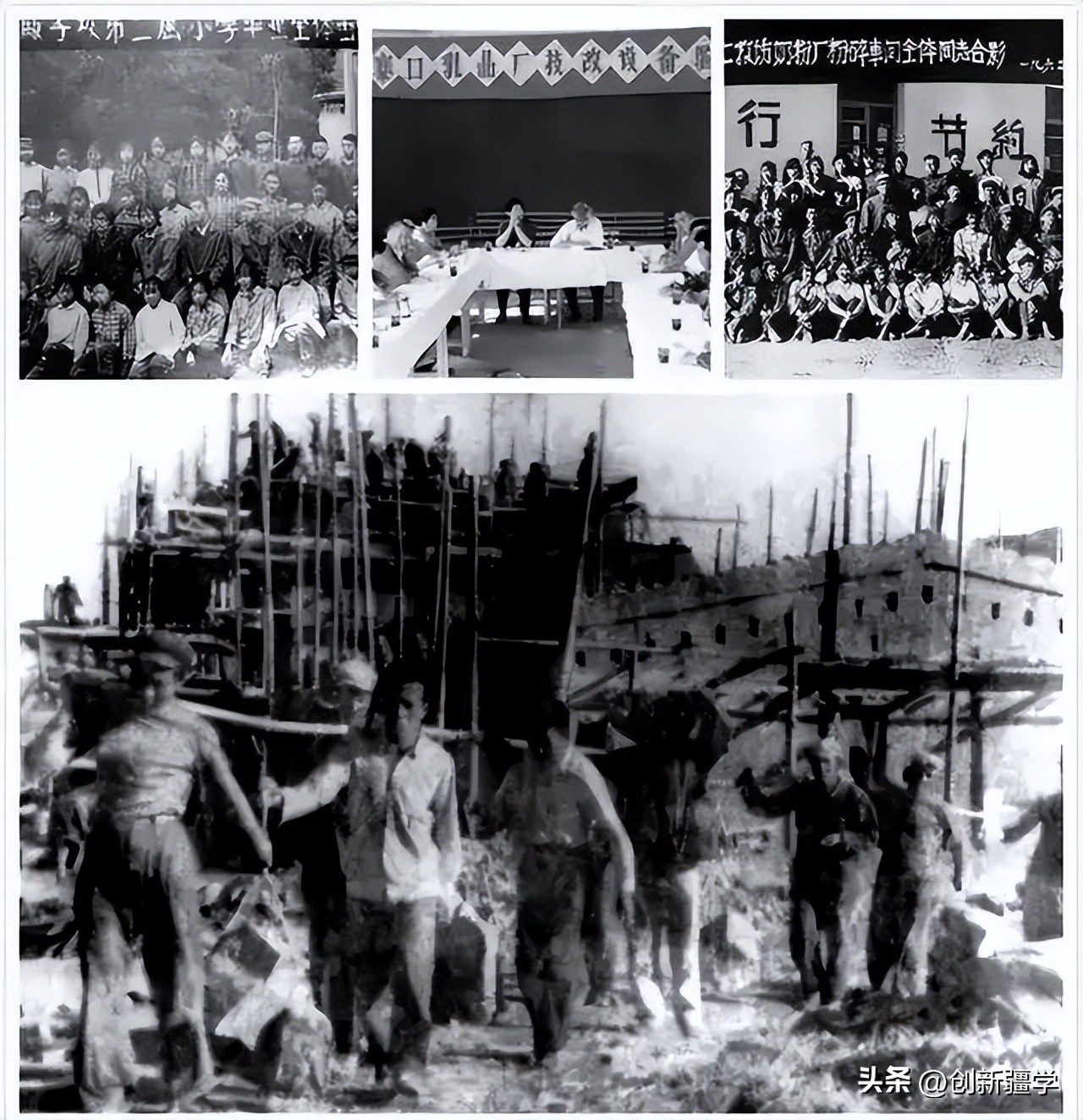 伊力特乳业始于1958年,伊力特乳业