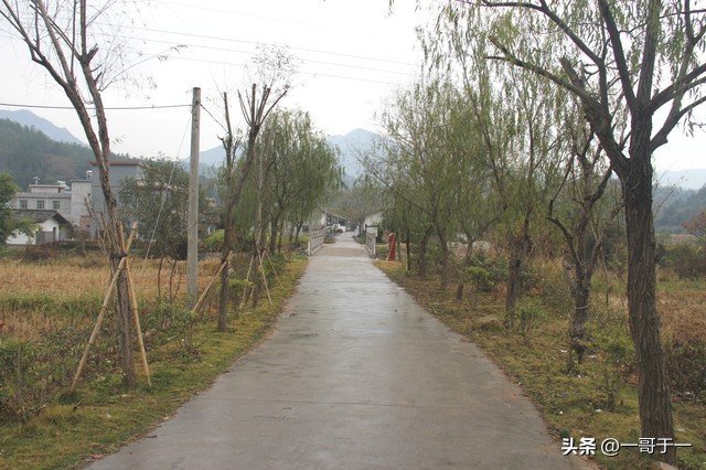 农副产品收购税率怎么选,制定农产品最低收购价