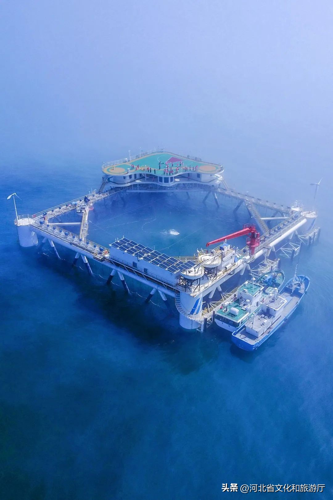 现在海鲜哪种最好吃,现在的海鲜哪个最好吃