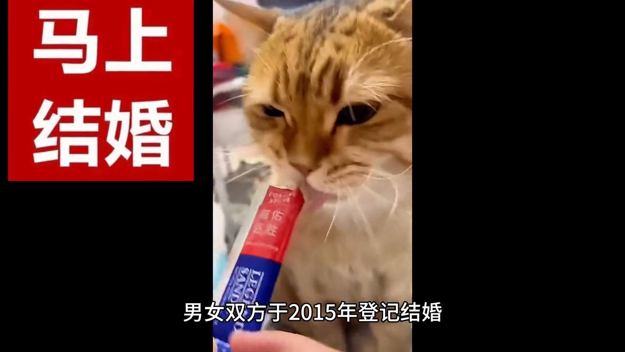 离婚后发现孩子不是亲生可以索赔,离婚后孩子不是亲生的能赔偿多少