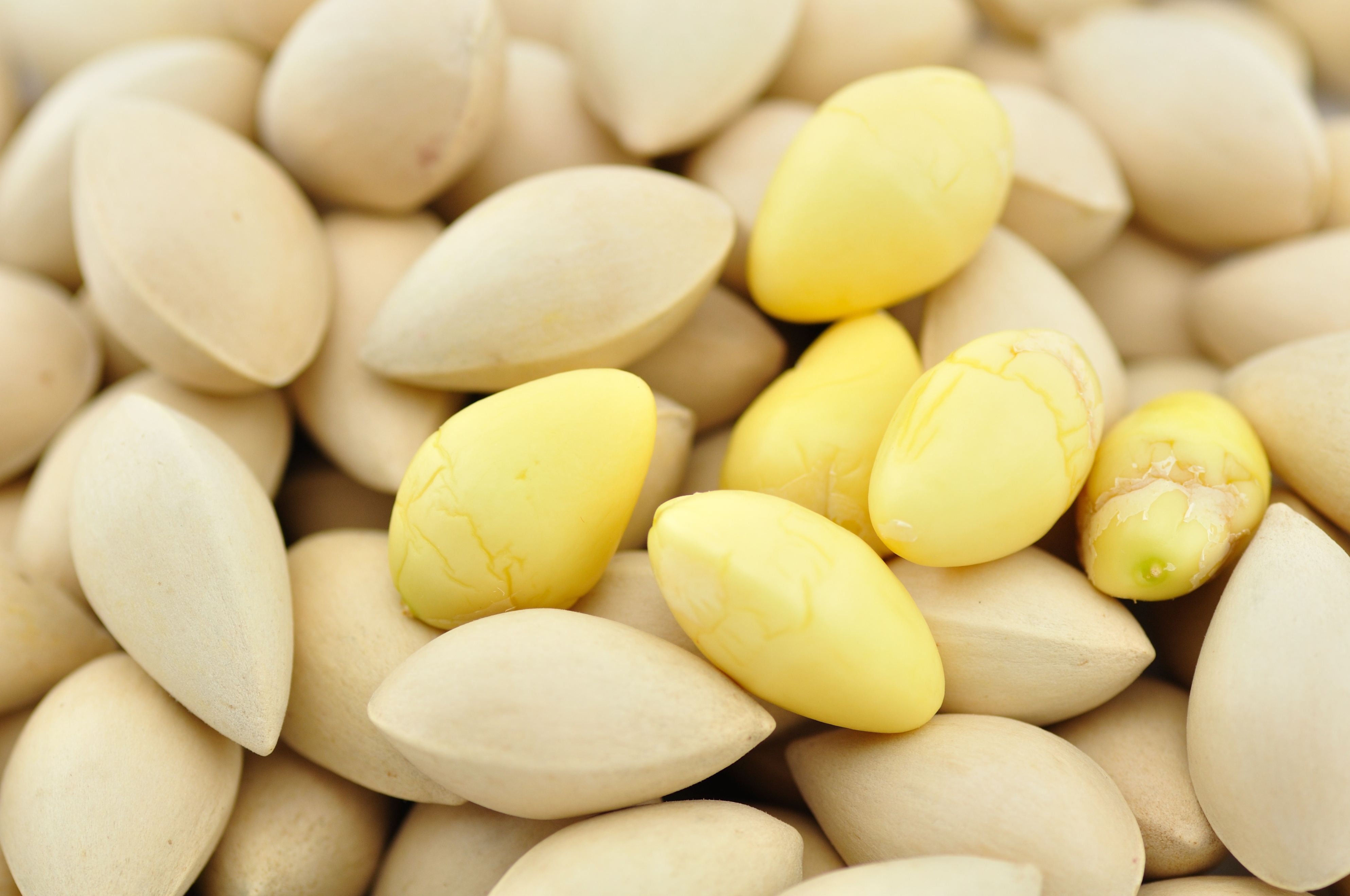 咳嗽喝这个效果超好止咳还养生,咳嗽的克星用它泡水喝咳嗽立马好