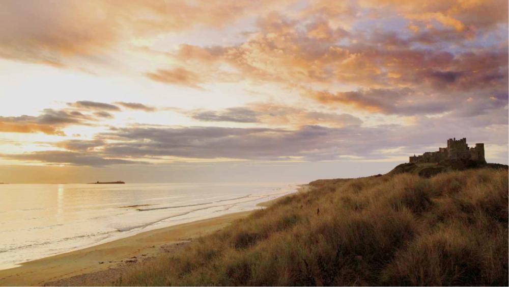 留学生眼中的中国乡村,英国东北留学生