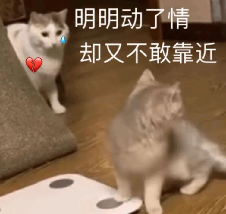 圆肩内衣肩带总是掉怎么办,内衣掉肩带怎么弄