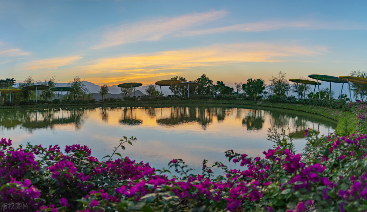 成都春天超美的地方,成都现在风景最美的地方