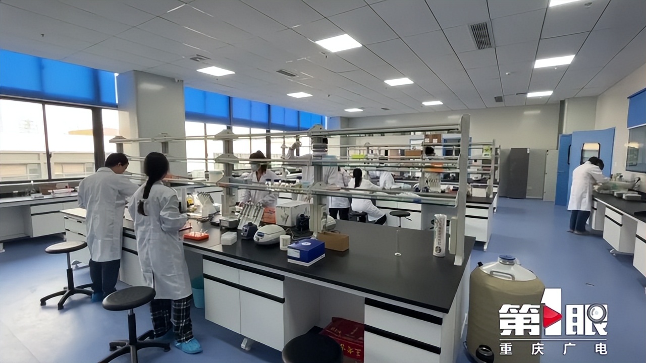 重庆确保全年新增就业60万人以上 (一季度重庆就业超16万人)