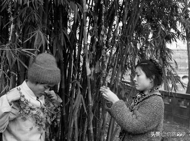 顾城诗十首经典语录,顾城最经典的十首诗摘抄