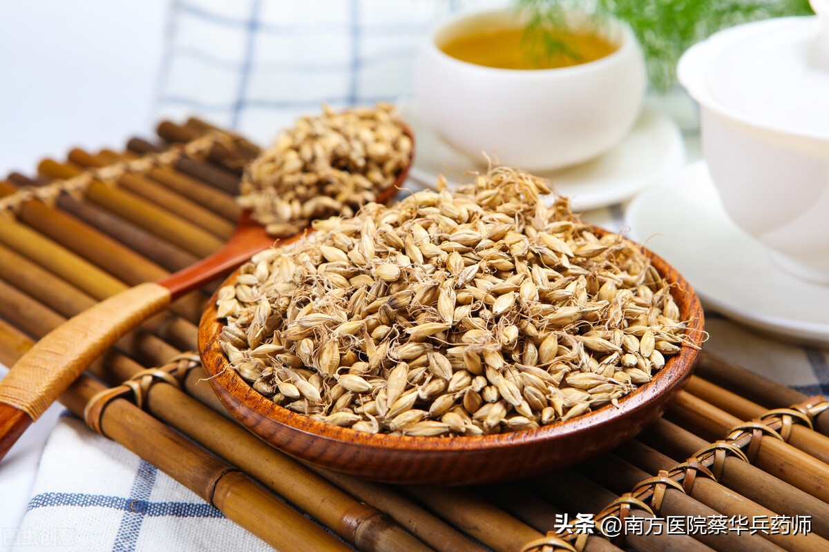 一味健胃消食的中药：上能回乳消胀，中能疏肝解郁，下能消食健胃