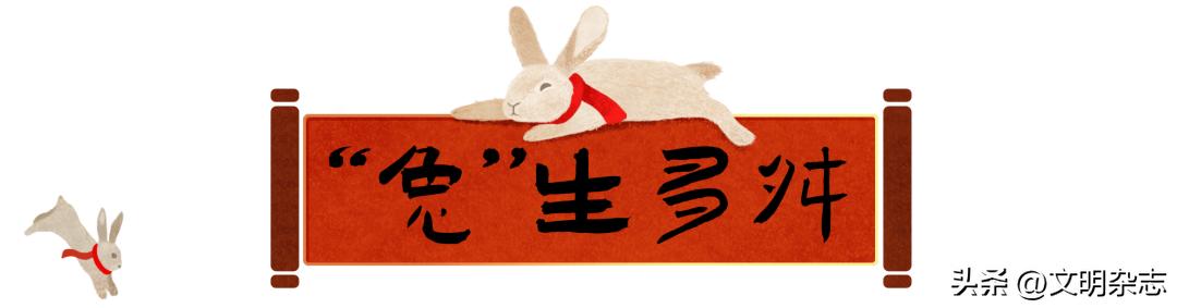 兔子来阳台,兔子来到新家