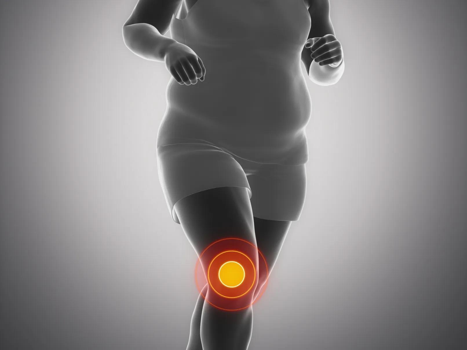 氨糖到底有没有效果,氨糖到底是噱头还是真的有用