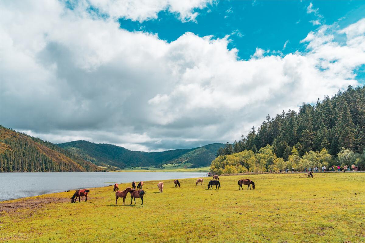 去云南旅行团怎么报名呢,云南来北京旅游怎么报旅游团