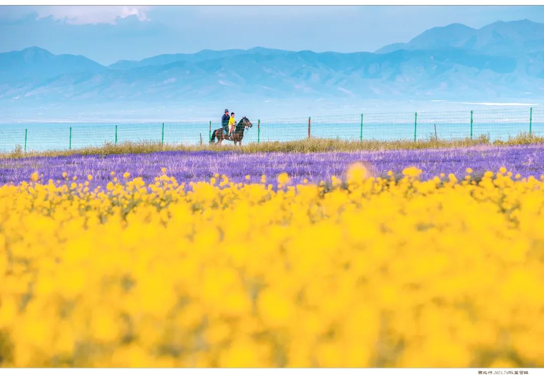 8月中旬带孩子去甘肃,带孩子去敦煌7天