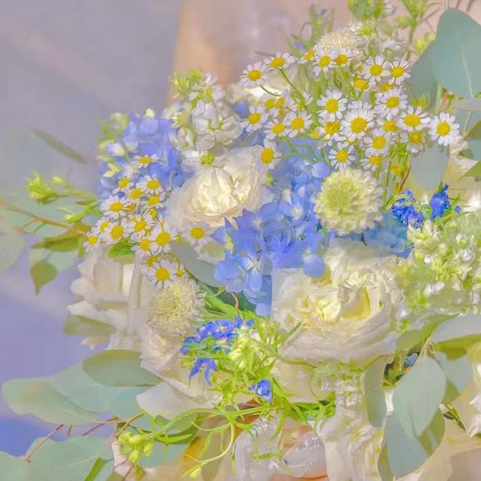 蕙心纨质的意思是什么,蕙心纨质的下一句