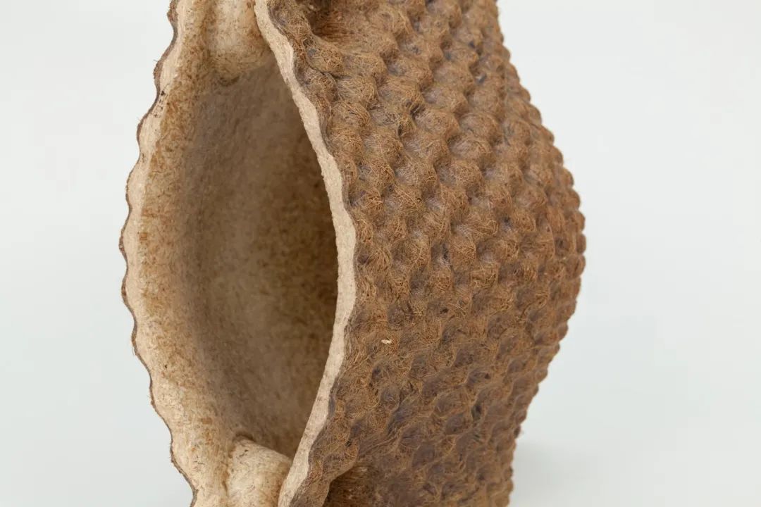 archdaily年度建筑冠军,archdaily获奖