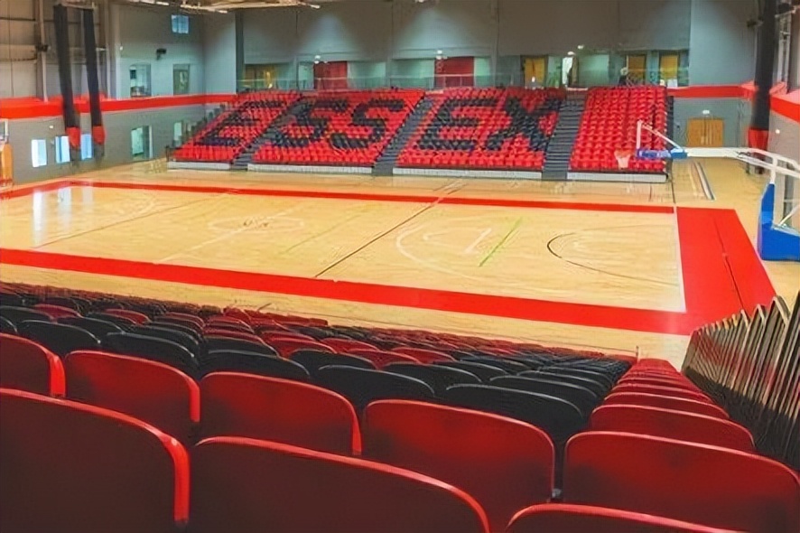 英国曼彻斯特大学和埃塞克斯大学,英国埃塞克斯大学