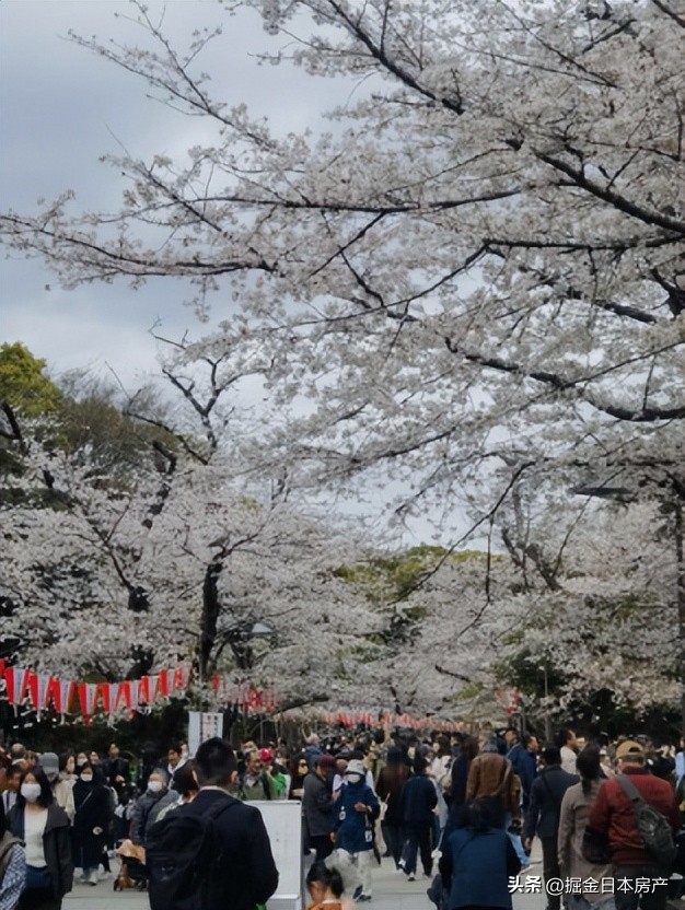 中国人一家三口定居日本幸福生活,上海人在日本定居