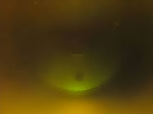 美国真的发现了外星人吗,为什么美国一直都有外星人的传闻