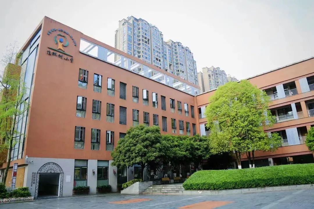 盘点一下成都排名前十小学,成都5朵金花哪个初中好