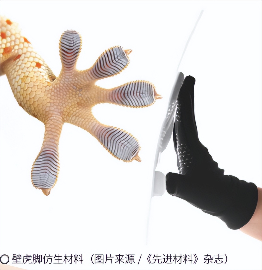 三体中的十大黑科技,三体中的超级黑科技