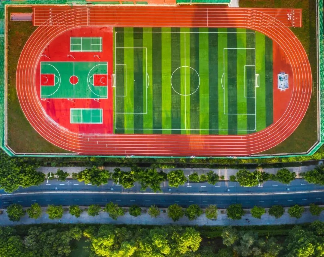 人造草案例,人造草坪广东