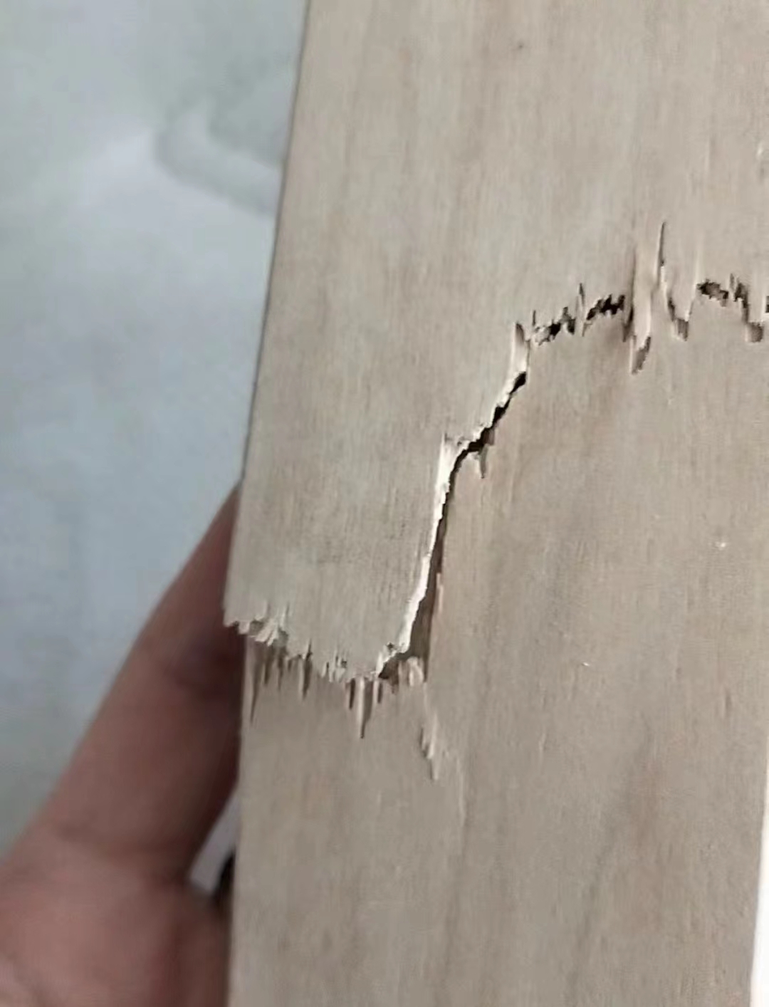 闲鱼购买样品家具，去店里拿货发现多处损坏，商家称“买的就是破烂”！