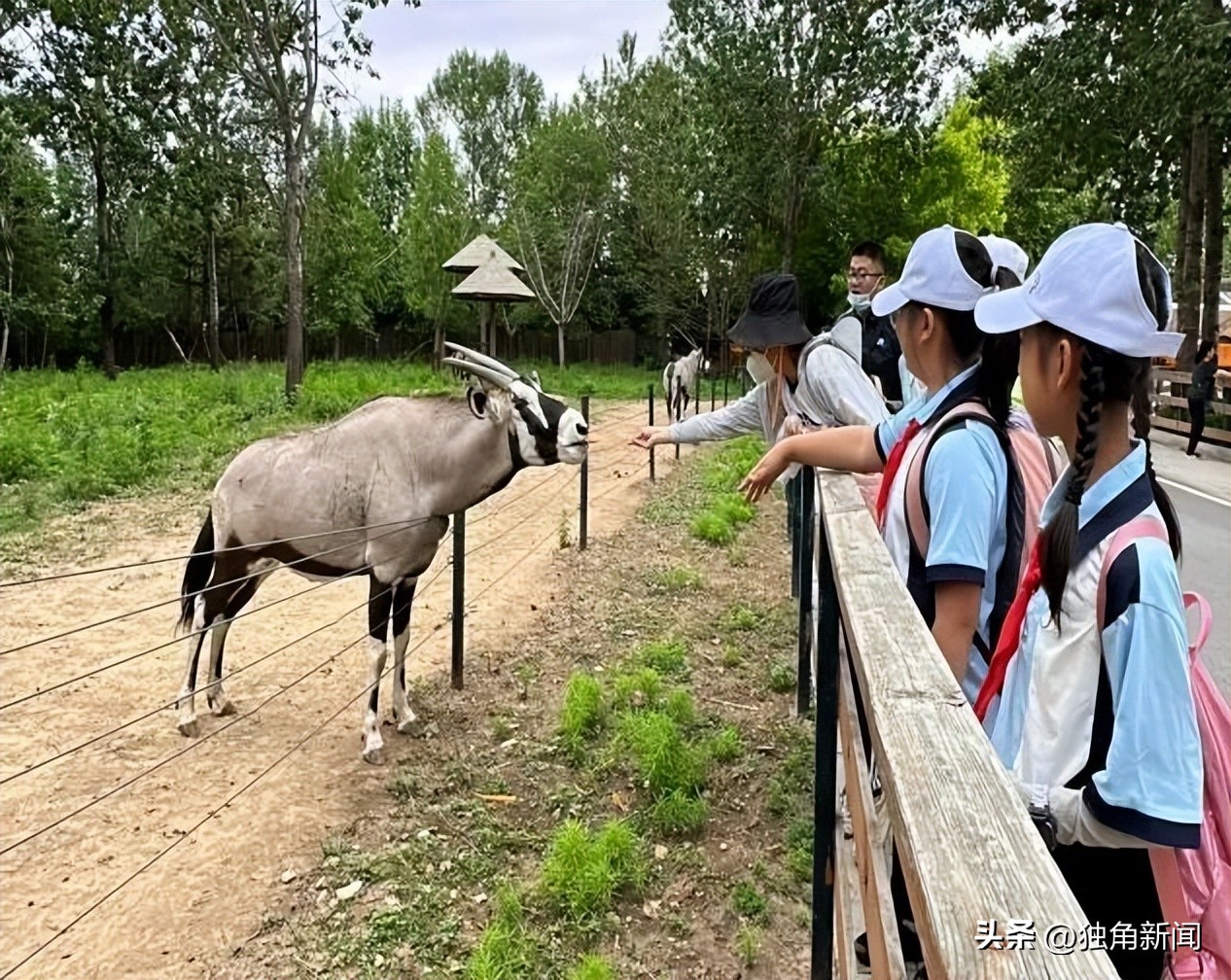 大连六一假期,大连六一儿童节景点活动