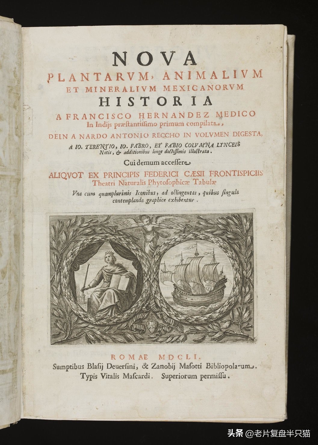 哥斯拉20个泰坦解析,哥斯拉2泰坦巨兽彩蛋