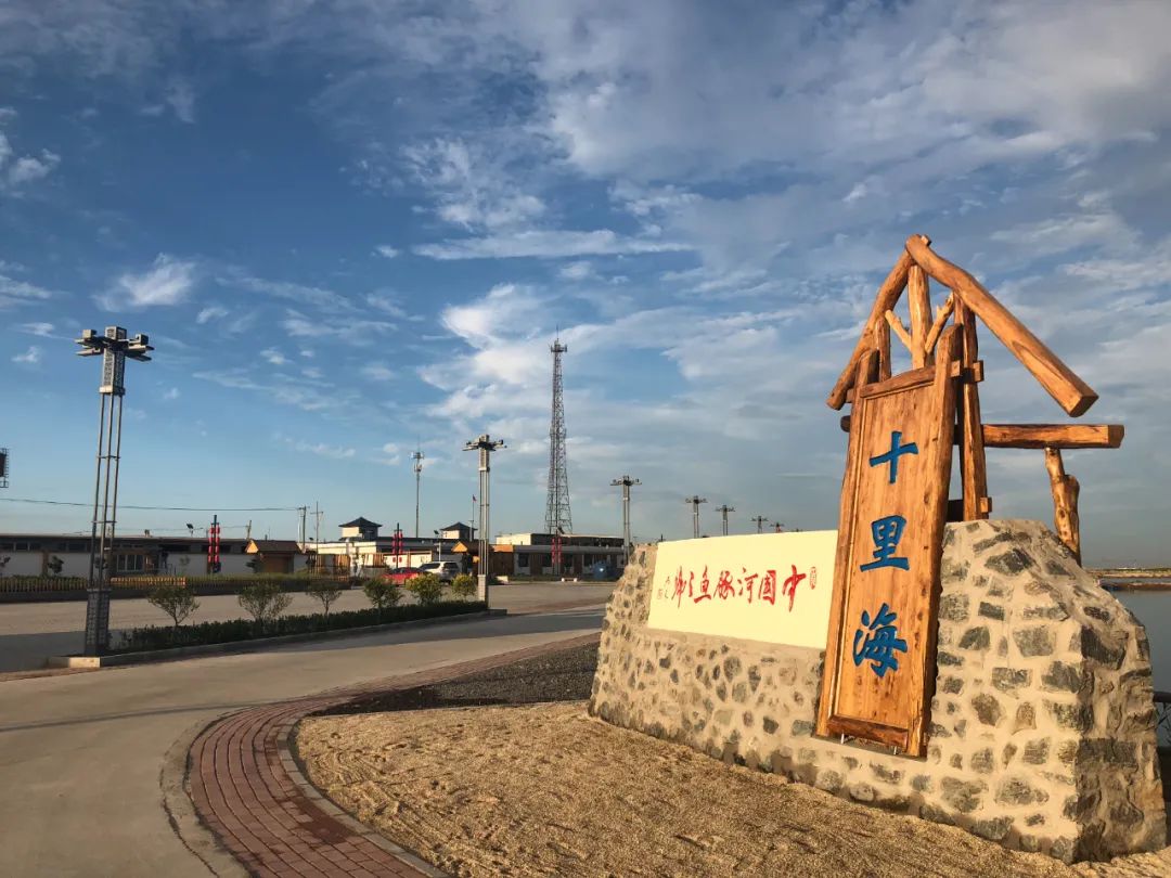 休闲农业与乡村旅游项目分析,休闲农业与乡村旅游什么时候开始