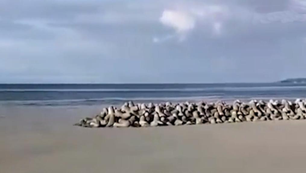 富士山避难计划,日本富士山喷发避难计划