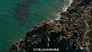 极端高温,灾难的开始…该如何拯救