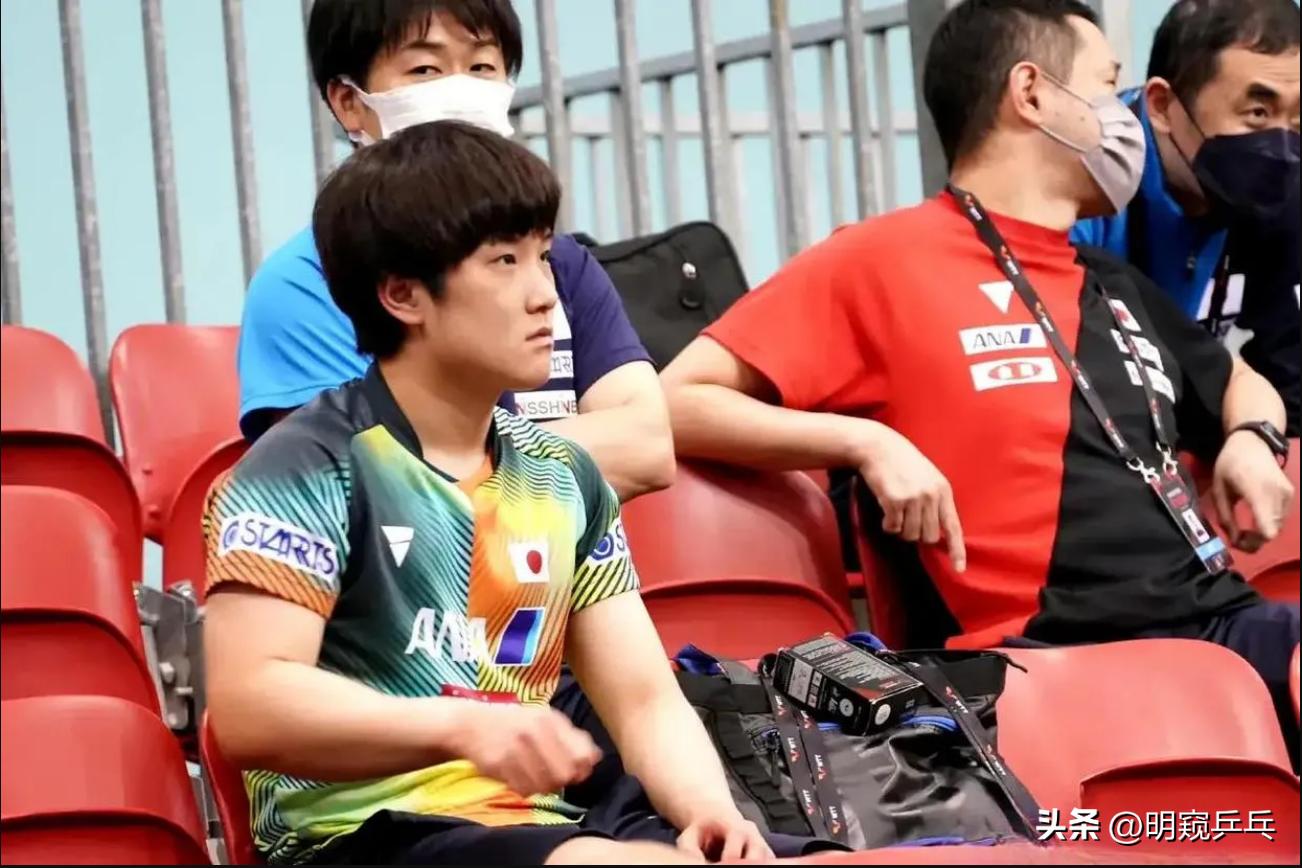 2021年世乒赛男单8强梁靖崑,世乒赛直播中国vs瑞典