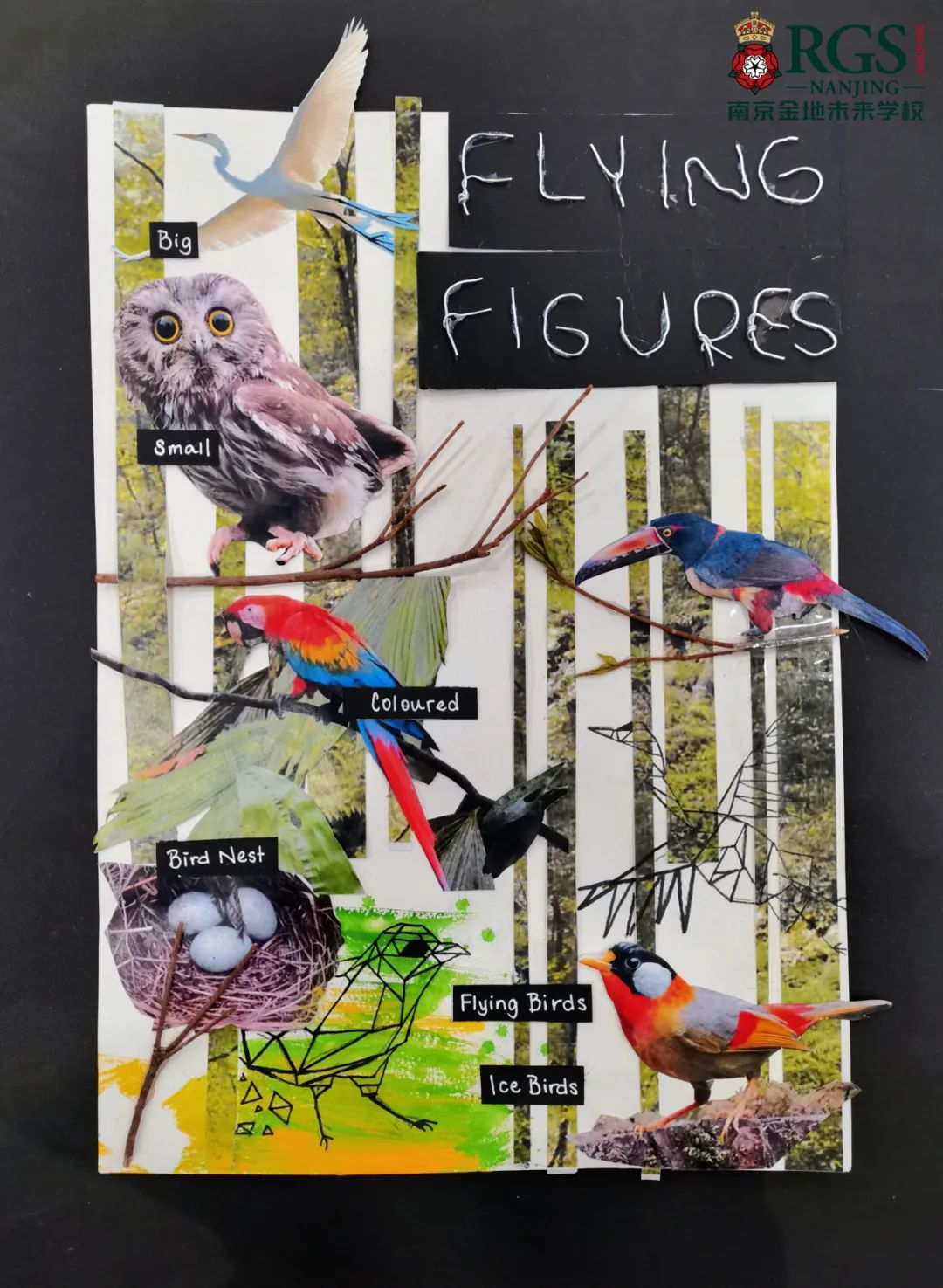 金地未来学校属于哪里的,金地未来学校初中教学严谨吗