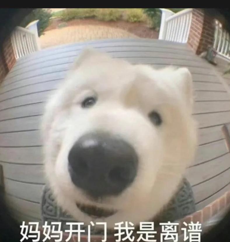 特价15000元到手的性价比*弹炸**!NAD50周年纪念版C3050LE试用!