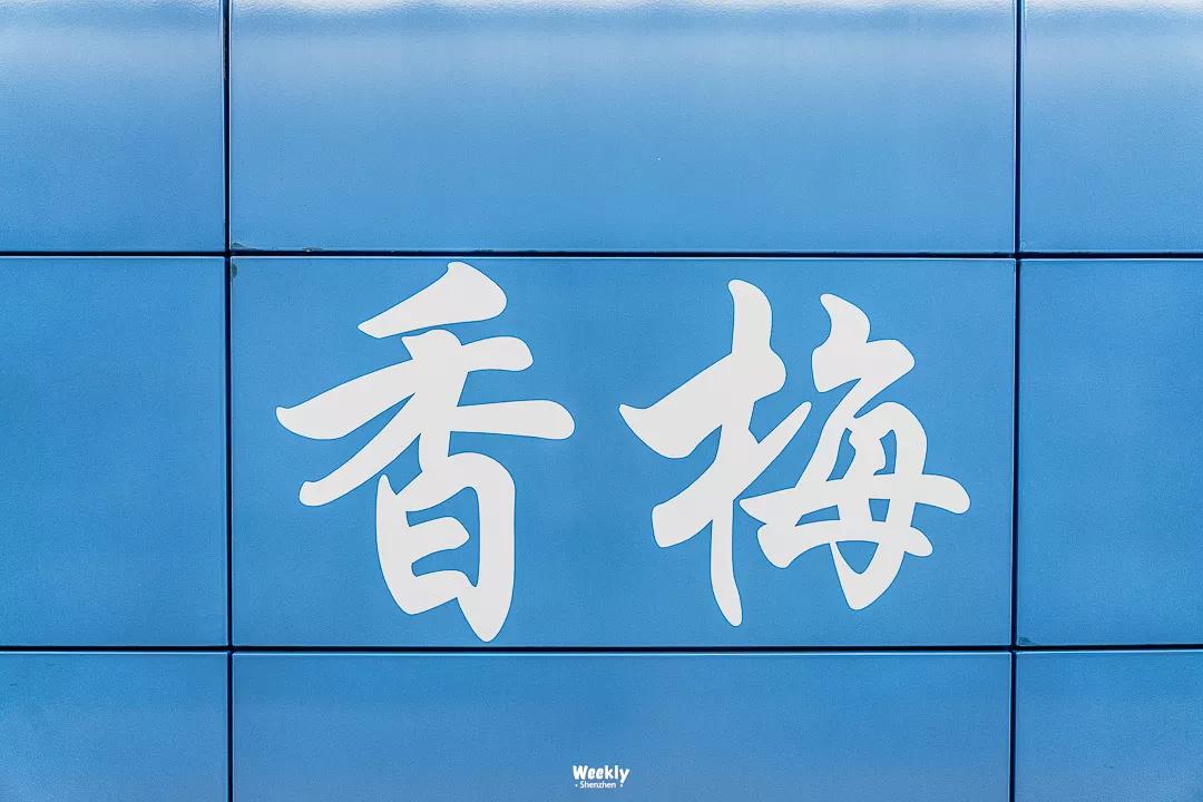 真羡慕那些住高档小区的人,真羡慕住在海边的人