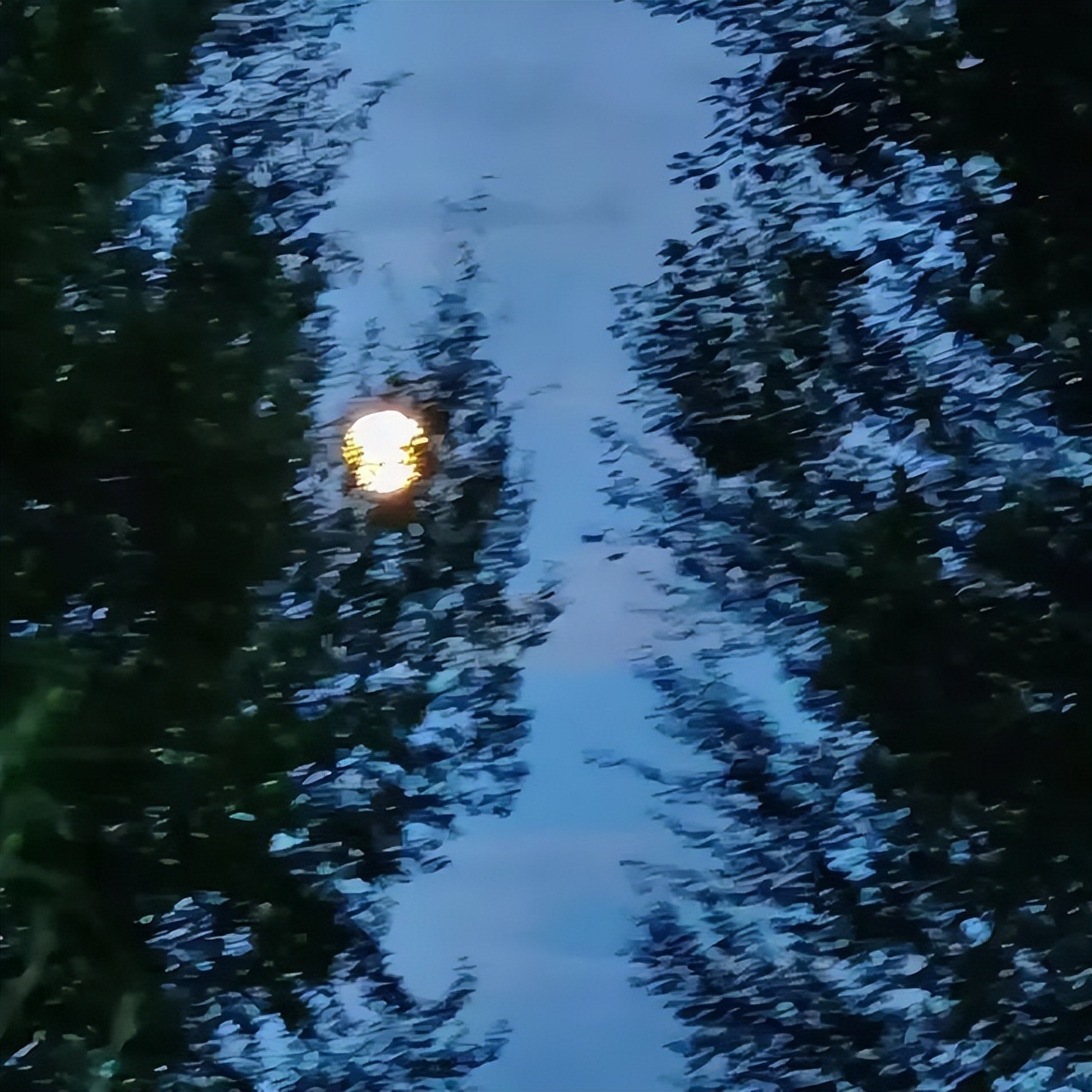 第二十八期爱情壁纸,ins浪漫壁纸高级氛围感