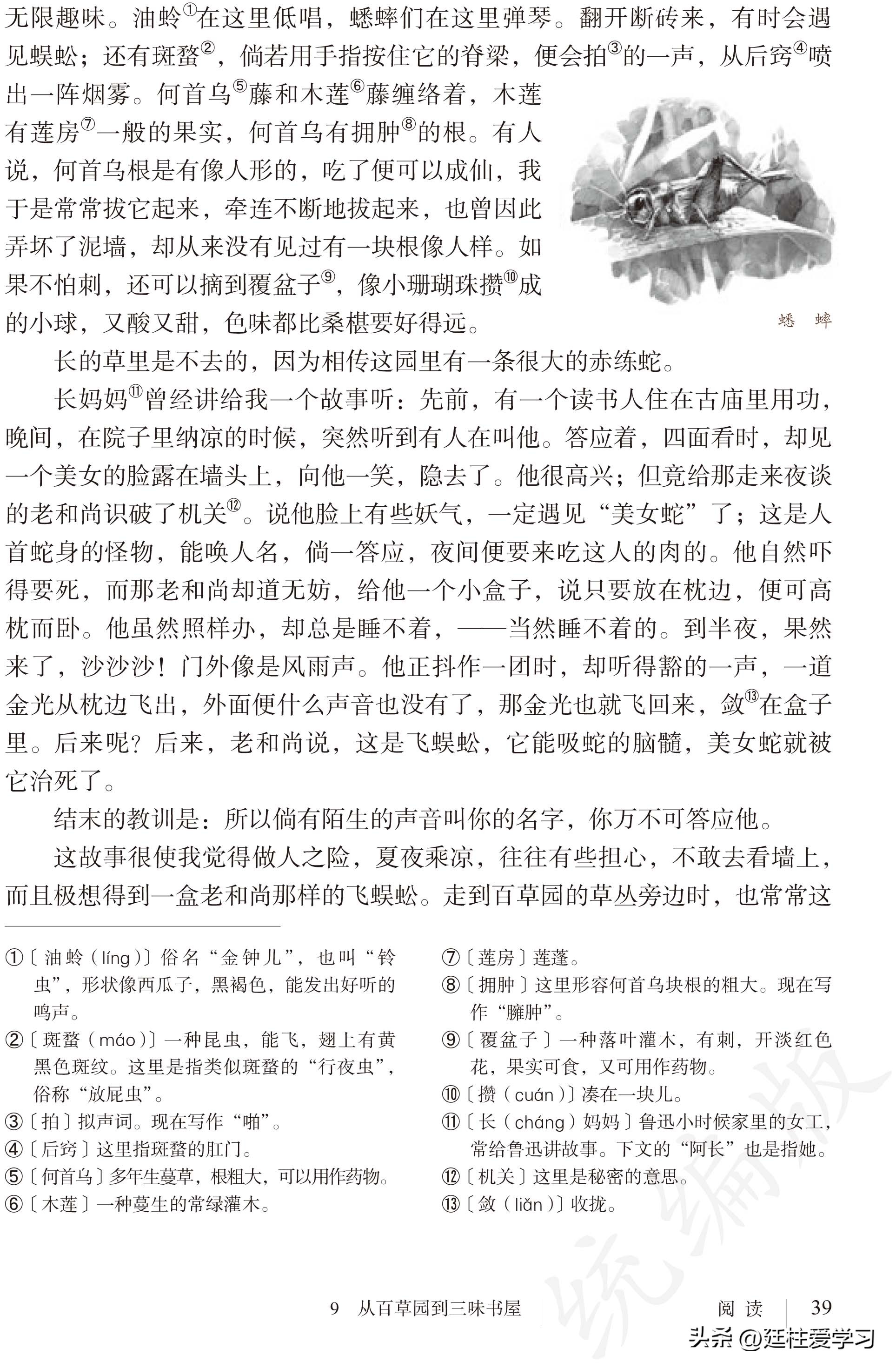 语文七年级上册电子版,语文七年级上册电子版课时练