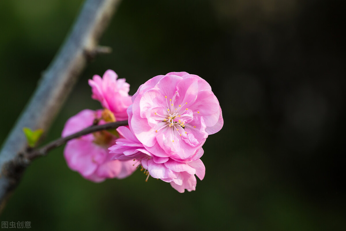 老了老伴走了剩下一个人怎么办,如果老伴走了你要做好四件事