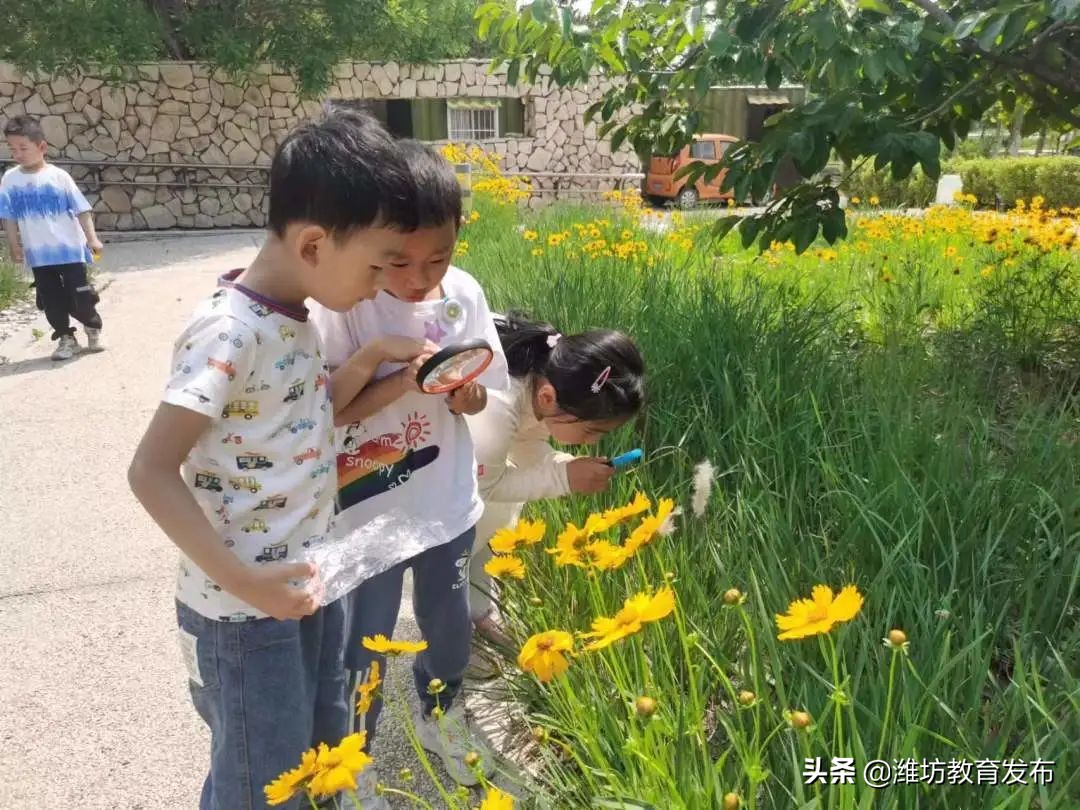 潍坊校园新闻联播,周播报