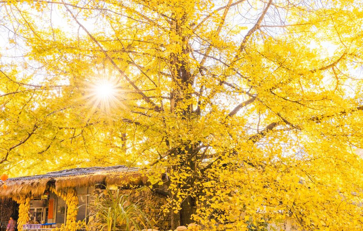 安徽凤台县名字由来,凤台县历史由来