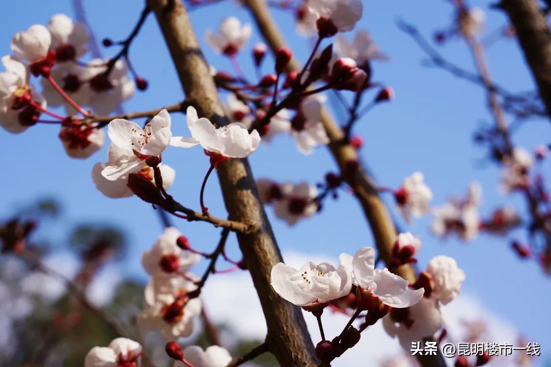 五华区买房攻略新手必看,狂飙楼市