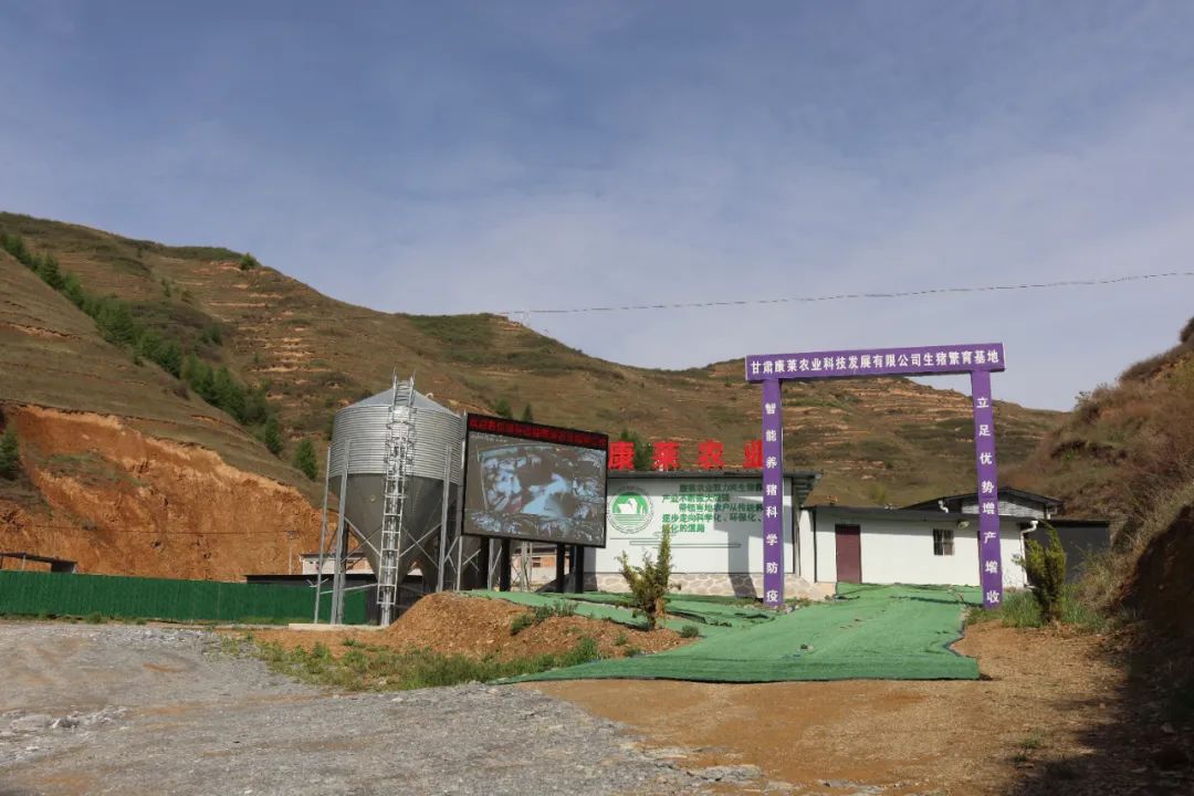 聚焦三抓三促凝神聚力促发展,凝神聚力谋发展务实笃行开新局