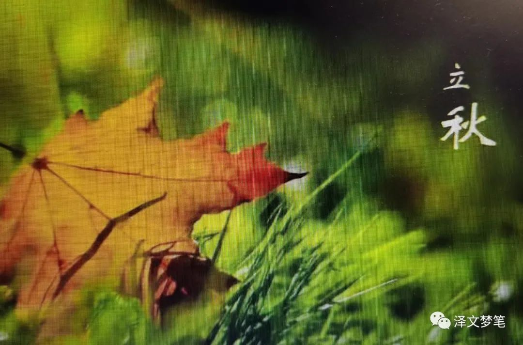 农历二十四节气全表,农历二十四节气歌原唱