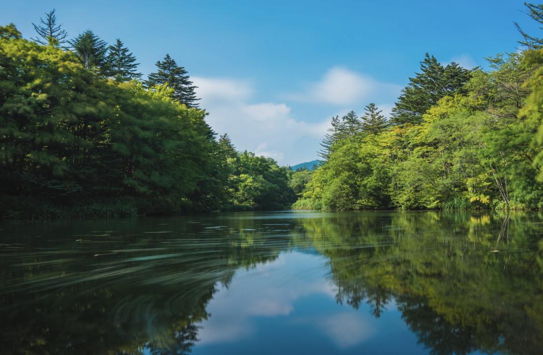国庆前几天买电动车划算吗,国庆出国去哪个国家划算