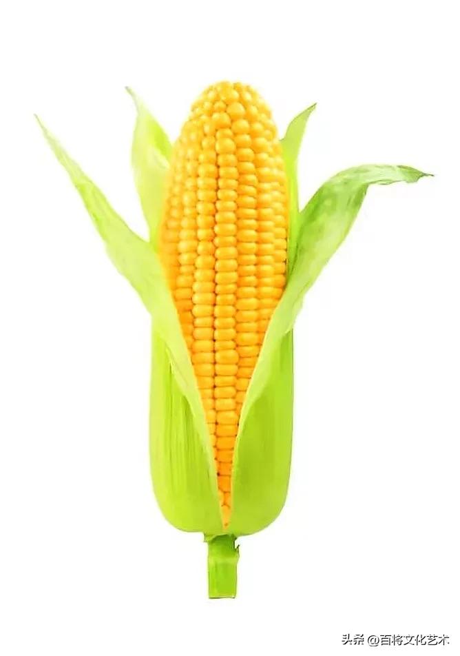 十大抗性淀粉包括,抗性淀粉的由来